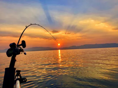 Fishing | City of Virginia Beach