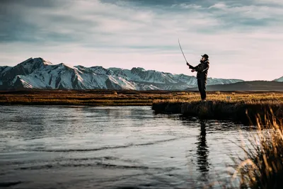 How to Fish: Fishing Tips for Beginners