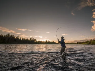 The American Fly Fishing Trade Association