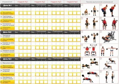 Тренировка дома с гантелями и штангой для роста мышц и силы - сплит на 3 дня
