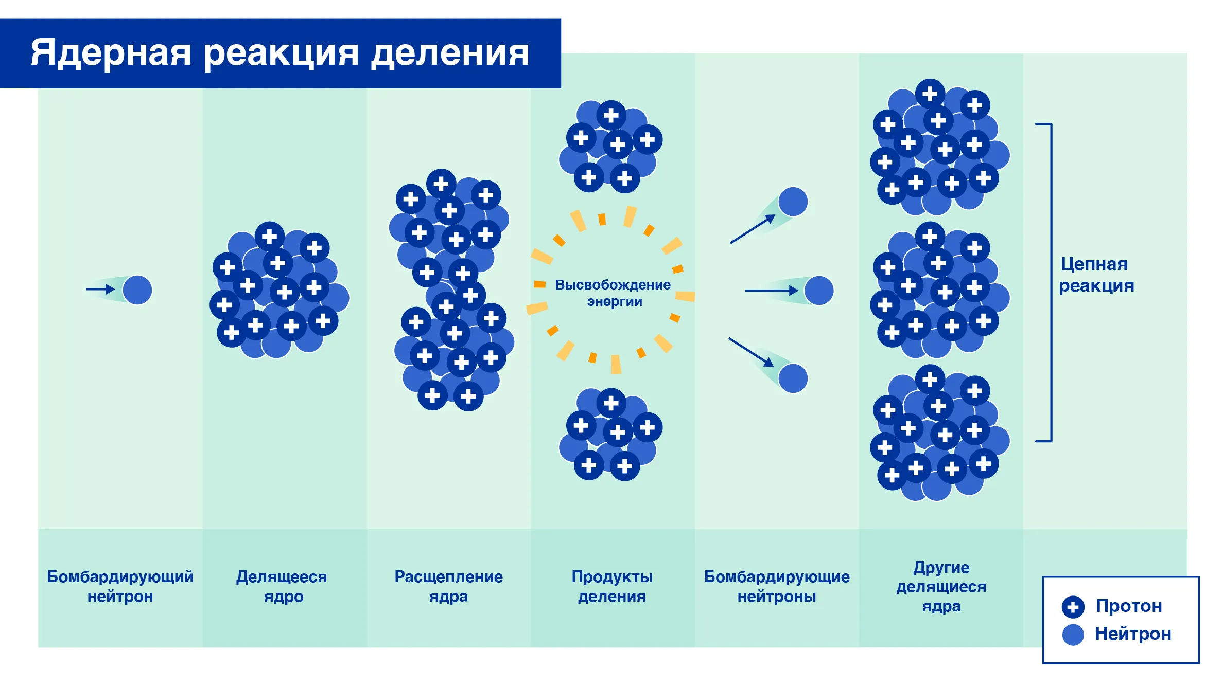 Реакция деления нейтронов. Схема цепной реакции деления ядер урана. Цепная реакция деления урана 235. Деление урана цепная реакция схема. Цепная реакция деления ядер схема.