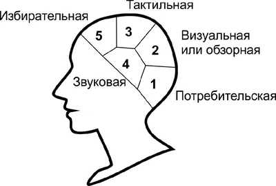 Новости физиогномики: можем ли мы считать характер человека по его лицу?