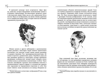 Умение убеждать. Ч.1 Психотипы, темперамент и физиогномика | Tina Valti  женский клуб | Дзен