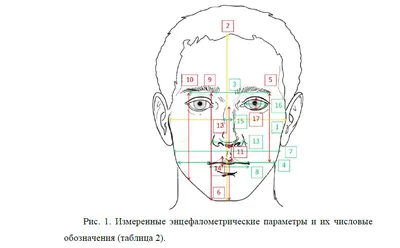 Физиогномика и ИИ | Пикабу