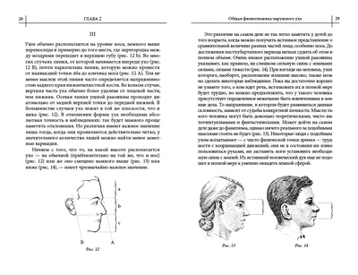 Физиогномика Лица В Картинках Обучение Книга – Telegraph