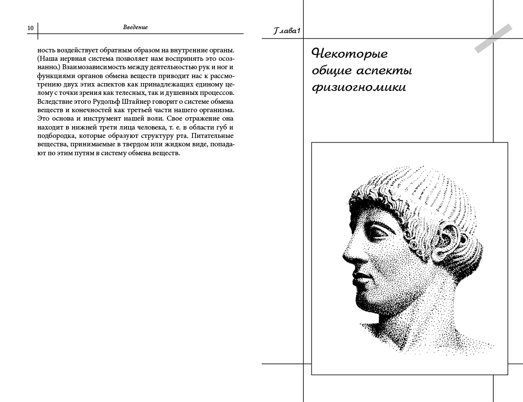 Физиогномика лоб. Наука которая изучает характер по чертам лица. Греки физиогномика. Чтение по лицу физиогномика.