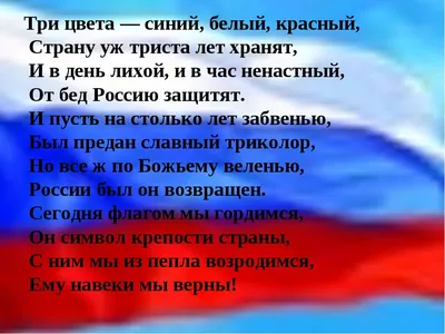 Министр просвещения обещает не гнать детей на мороз из-за флага и гимна -  Газета.Ru