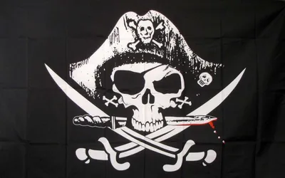Pirate Flag - Пиратский Флаг Png, Transparent Png - 2500x2126(#745515) |  PNG.ToolXoX.com