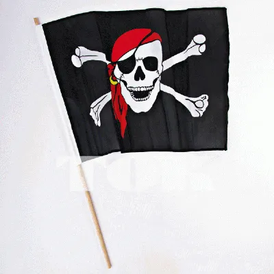 флаг пиратов на ветру стоковое фото. изображение насчитывающей старо -  217014880