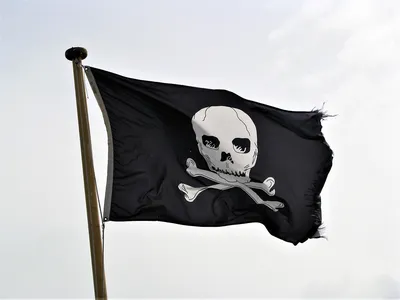 Пиратский флаг, 45*30 см (с деревянным флагштоком) - купить в Москве, цены  на Мегамаркет