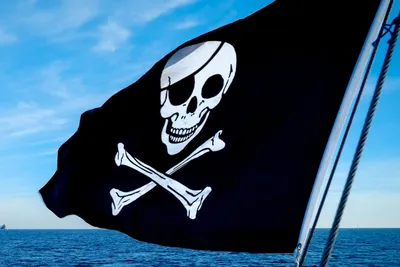 Пиратский флаг, пиратский труба, баннер, клипстеры, флаги и баннеры, стена,  худи, флаг, фотография | AliExpress