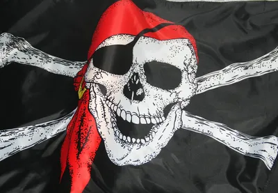 Пиратские флаги | One Piece Wiki | Fandom