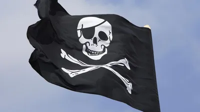 Флюгер Borge Пиратский флаг, 485x335 мм, чёрный RAL 9005  01.451.05.00.04.000.9005 - выгодная цена, отзывы, характеристики, фото -  купить в Москве и РФ