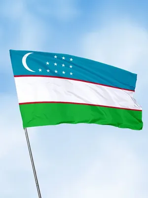 Флаг Узбекистана 67,5х135 флаги стран мира на стену Заверните! 15116888  купить за 114 100 сум в интернет-магазине Wildberries