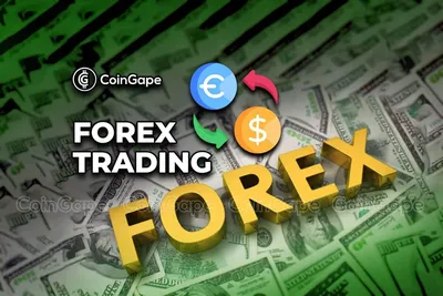 Stock market background or forex trading business Vector Image