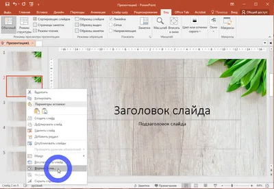 Векторные лавровые венки и в формате png с прозрачным фоном — Abali.ru