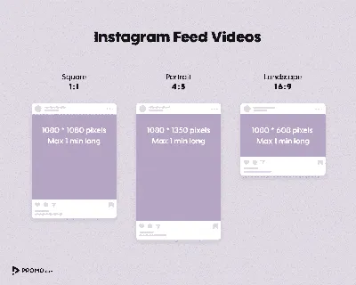 Instagram Bilder: Bildgrößen und Formate | TechSmith