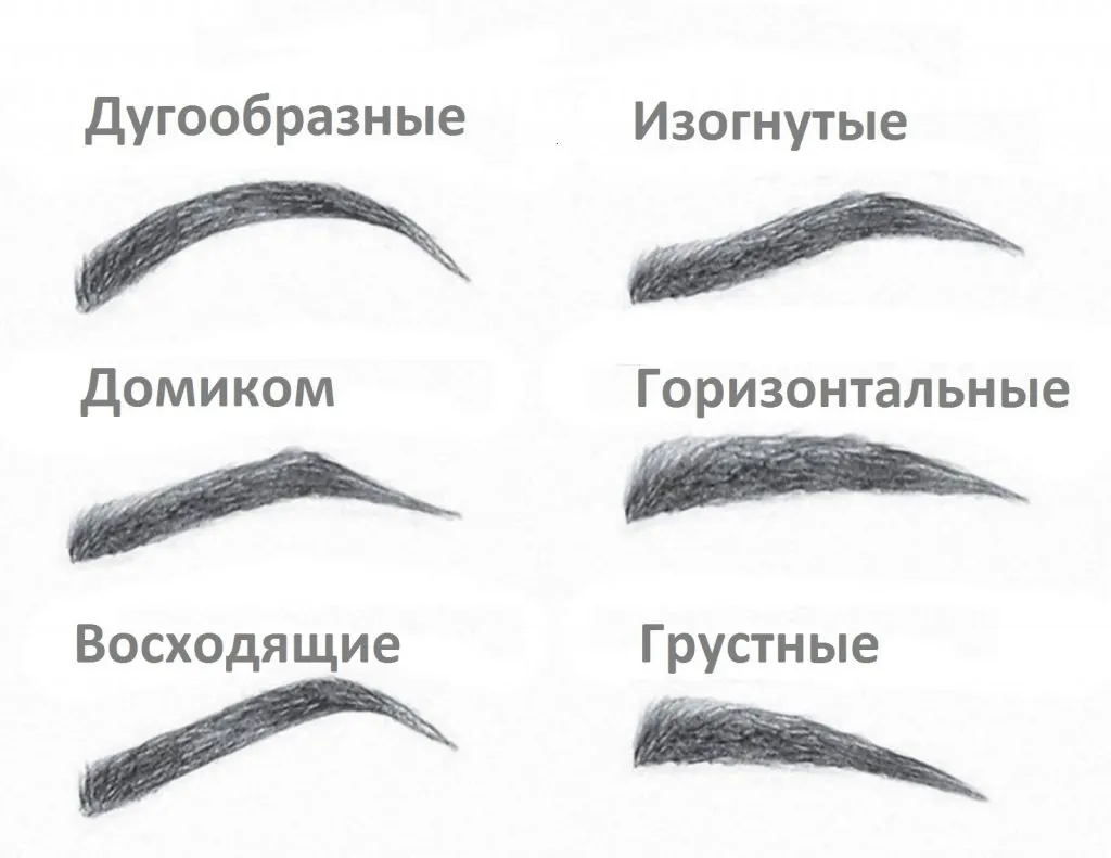 Фотографии форм бровей для татуажа Фотографии форм бровей для татуажа