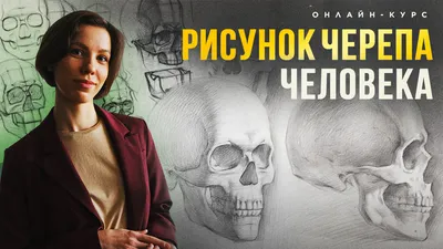 Картинки черепов для фона и заставки