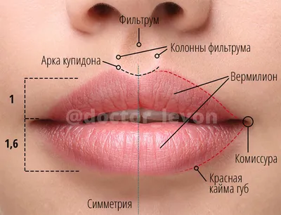 Красивая форма губ - идеальные губы.