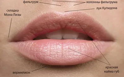Контурная пластика губ (увеличение губ), цены в Нижнем Новгороде