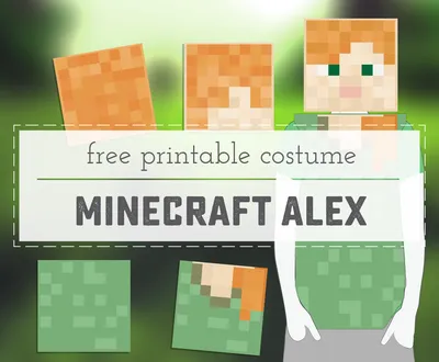 Free STL file Minecraft ALEX Full Color Charater Only 🎨・Design to download  and 3D print・Cults