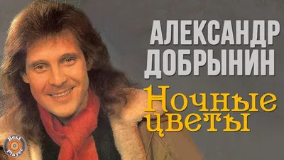 Александр Добрынин. Концерт