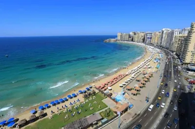 В Египте хотят сделать пляжи Александрии доступными только для туристов |  Ассоциация Туроператоров