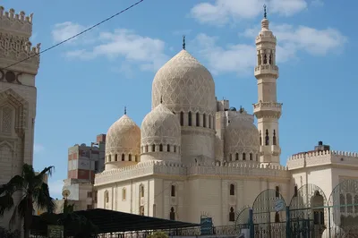 Славные города Египта: Каир и Александрия (Рекламный тур для агентов, 5  дней + авиа) - Многодневные рекламные туры