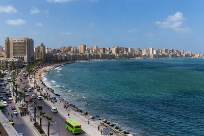 Александрия - телеграм чат, достопримечательности, отдых, шоппинг,  рестораны - что посмотреть в Александрии
