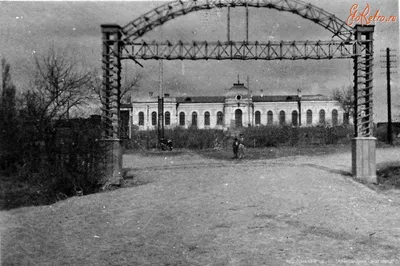 Старые фото Александрии - Old photos of Alexandria