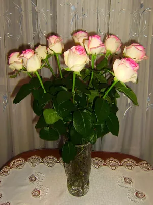Что я добавляю в вазу, чтобы цветы стояли 2-3 недели как свежие | Уютный Дом  | Дзен