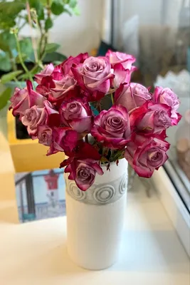 Розы цветы букет цветов ваза цветы на подоконнике на окне бутоны тронутые  сединой долго стоят | Розовые розы, Цветы, Букет цветов