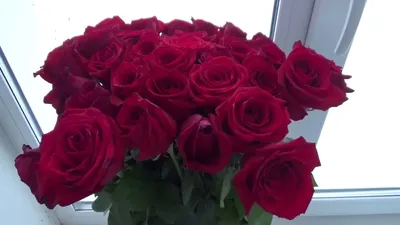 Как сохранить букет из роз / розы в вазе - YouTube