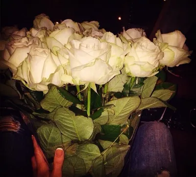 Купить набор цветов для дома «Букет своими руками» с доставкой по  Екатеринбургу - интернет-магазин «Funburg.ru»