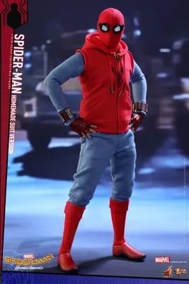 Hot Toys Spider-man Deluxe Version