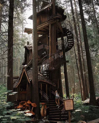 Дома на деревьях: 10 удивительных проектов :: Дизайн :: РБК Недвижимость