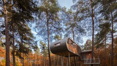 Дома на деревьях: 9 лучших архитектурных проектов, фото | AD Magazine