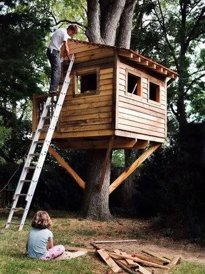 Дома на деревьях и особенности их постройки - dominant-wood.com.ua