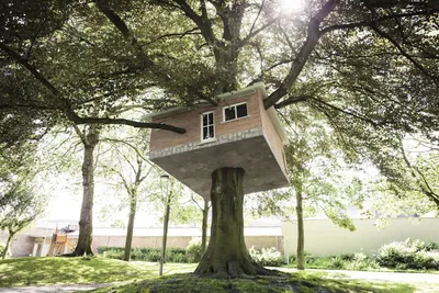 Дома на деревьях: 10 удивительных проектов :: Дизайн :: РБК Недвижимость