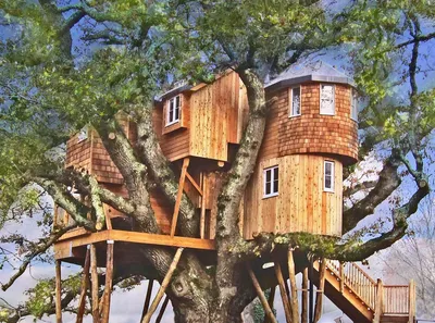 Самые необычные дома на деревьях | ЛансСтройГрупп