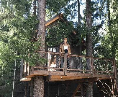 Дизайн дома на дереве от Baumraum