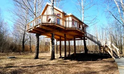 Обзоры — Смотрим самый большой в России дом на дереве
