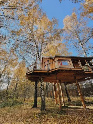 Построить домик на дереве в Украине по выгодной цене | ✰Мирта✰