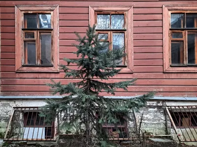 Доходный дом Пороховщикова (Москва) | Пикабу