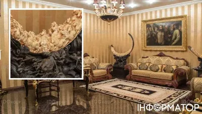 Дом Пшонки переплюнул по роскоши «Межигорье» (ФОТО, ВИДЕО) | Комментарии  Украина