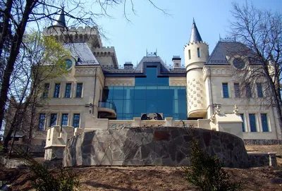 Замок Пугачевой и Галкина в деревне Грязь остался заброшенным после их  отъезда в Израиль - STMEGI