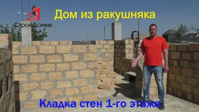 Дом из ракушечника - недостатки, фото, особенности строительства