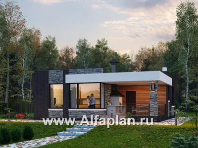 Проекты одноэтажных домов с плоской крышей - 1 этаж с плоской кровлей в  Казахстане