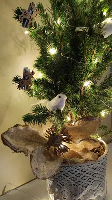 Светящиеся мини-елочки, красивые маленькие искусственные рождественские елки,  украшения для стола, рождественские украшения для дома – лучшие товары в  онлайн-магазине Джум Гик